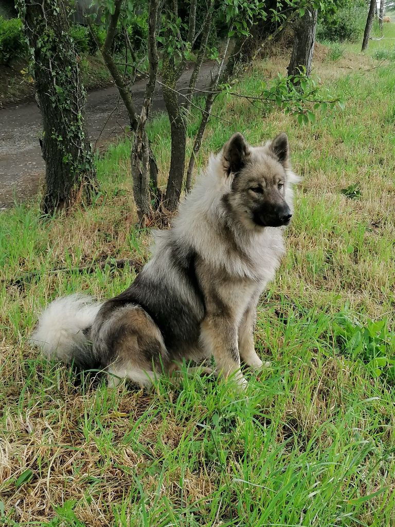 Publication : Des Ptites Pattes Du Bonheur 