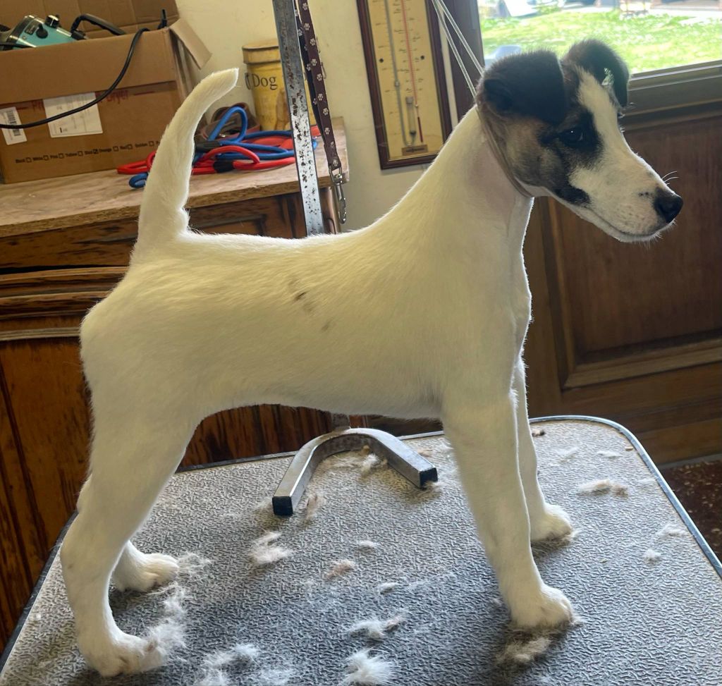 Publication : du Manoir Saint Adrien