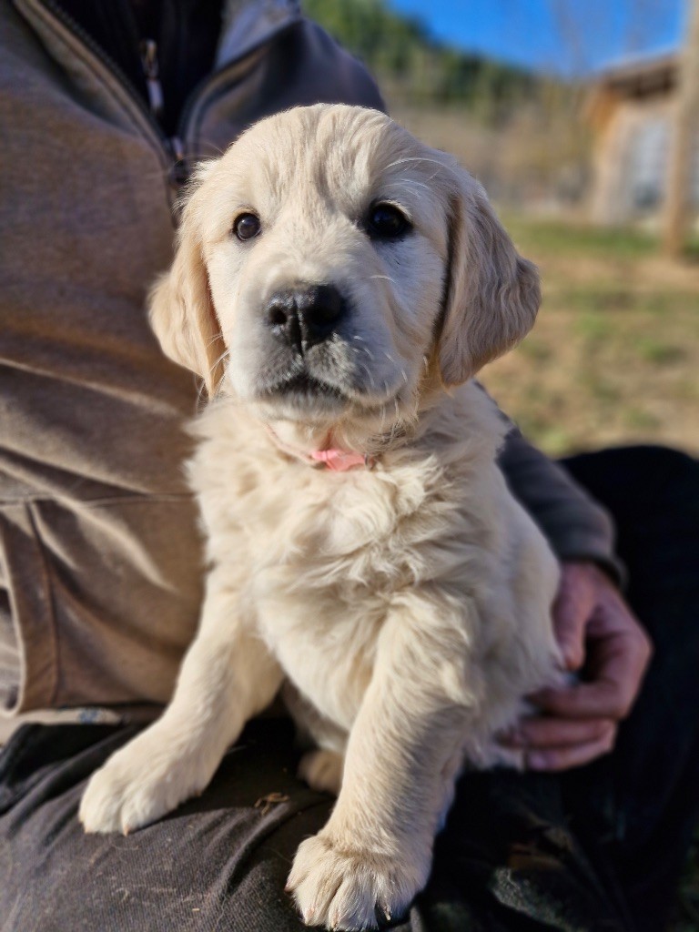 Publication : Du Domaine Des Terres Dioises 