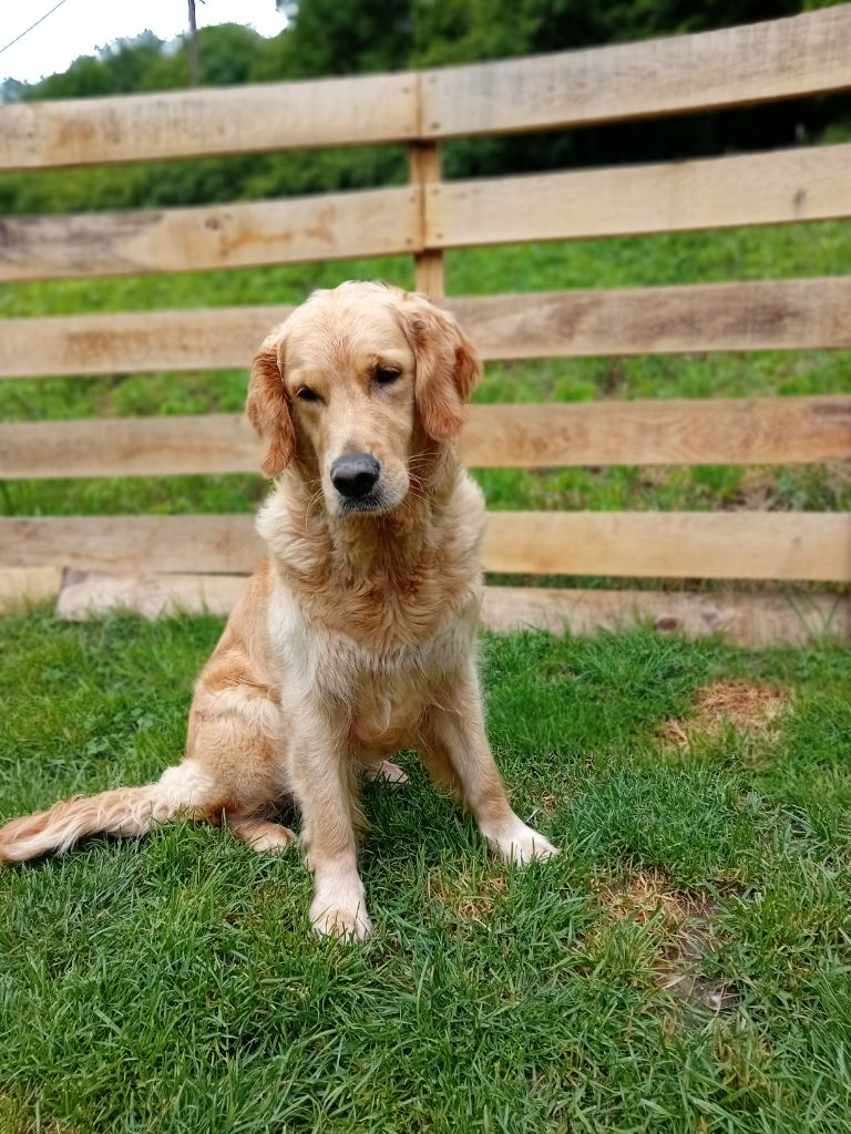 Publication : Du Royaume d'Häagen-Dazs 