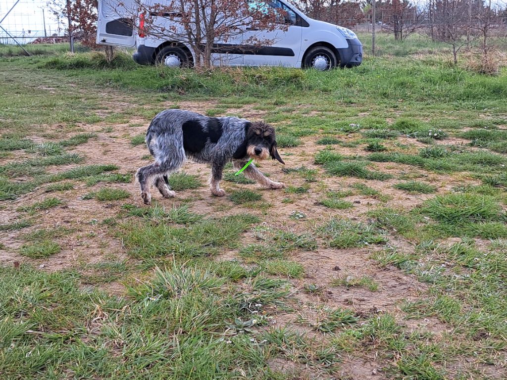 Publication : du Clos des Lebratieres Auteur : JC Coulom