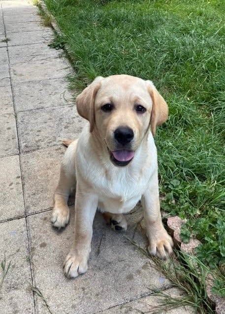 Publication : des Landes d'Eole 