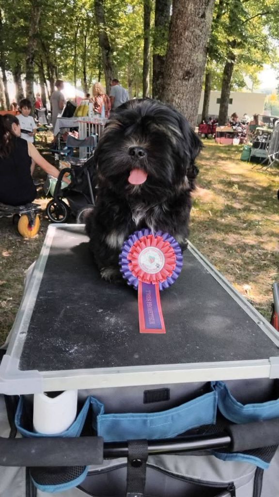 Publication : du chant d'Eliote 