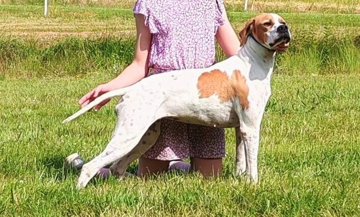 Publication : des grandes rafales 