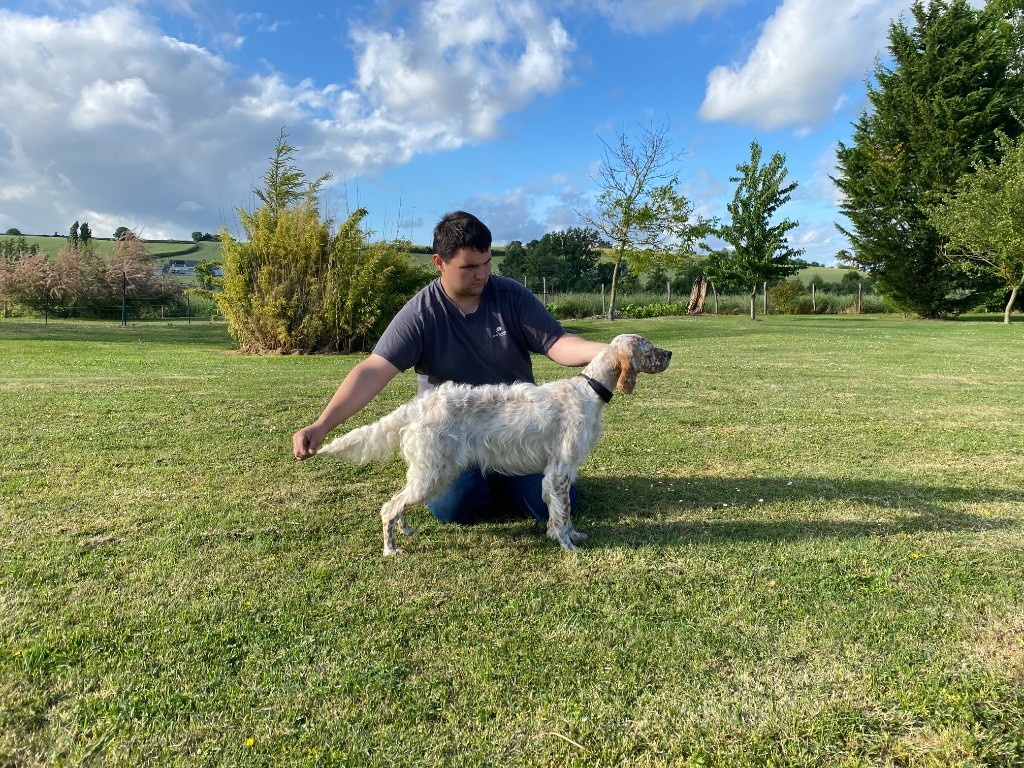 Publication : De Marais Becasses 