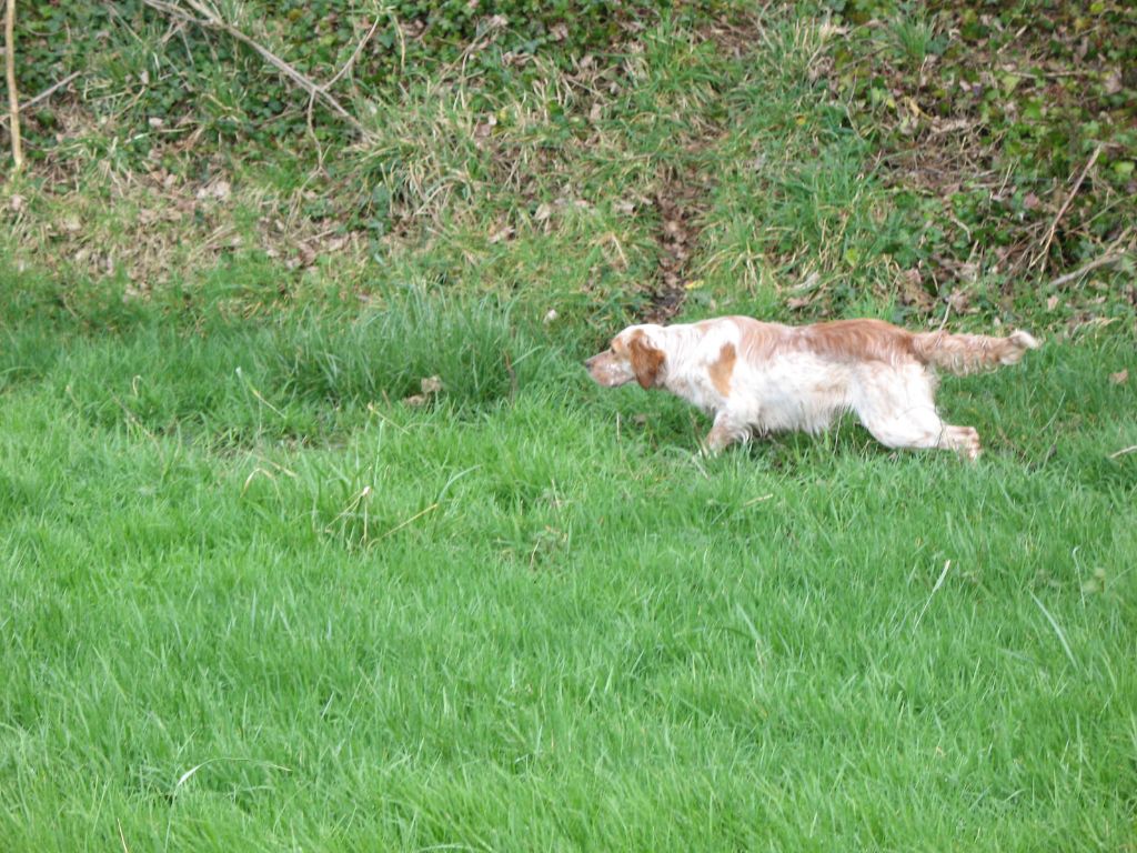 Publication : Coat Ar Pontou Auteur : moi