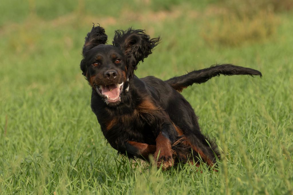 Publication : Des Monts Du Boulonnais