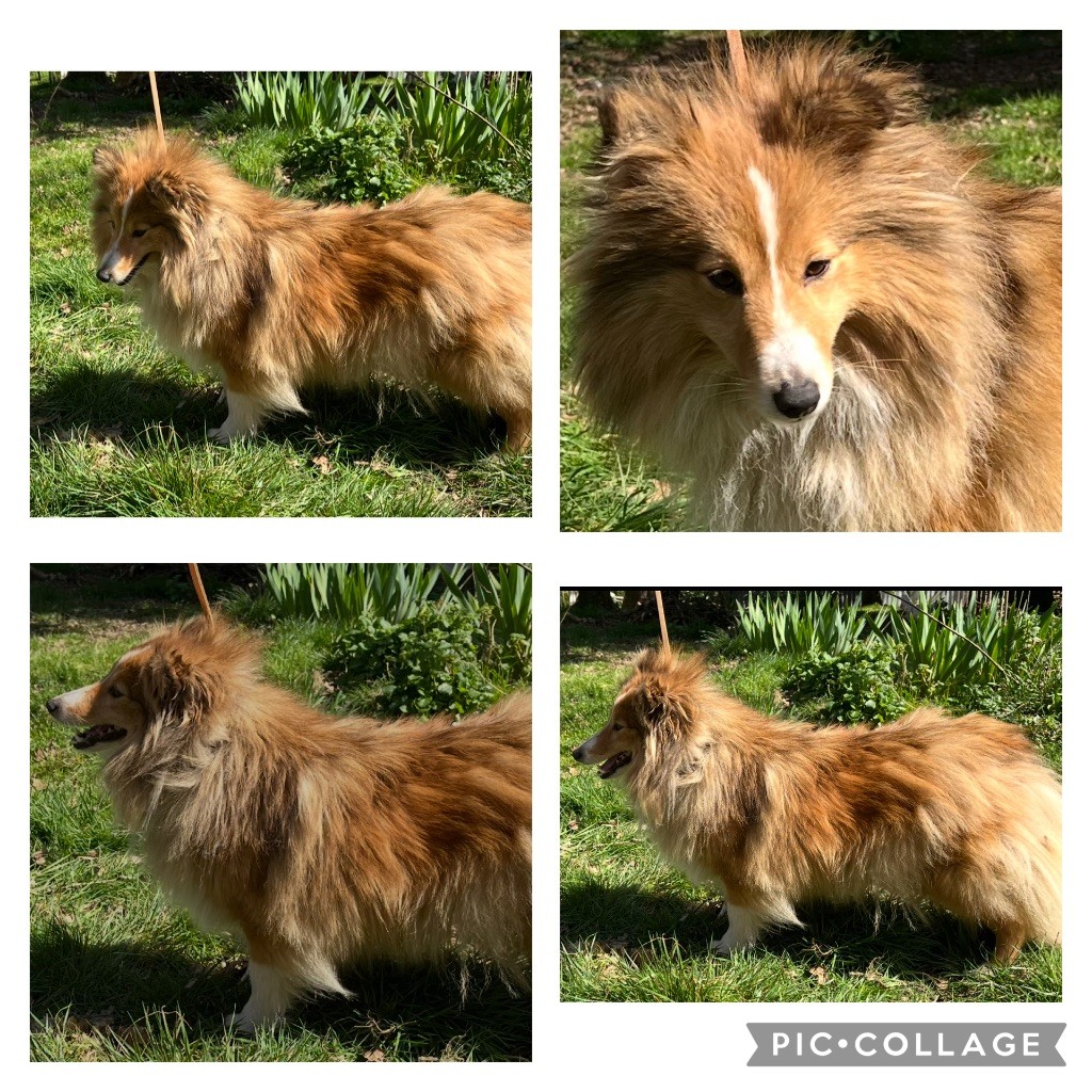 Publication : Goasfroment Auteur : Sebille clec h