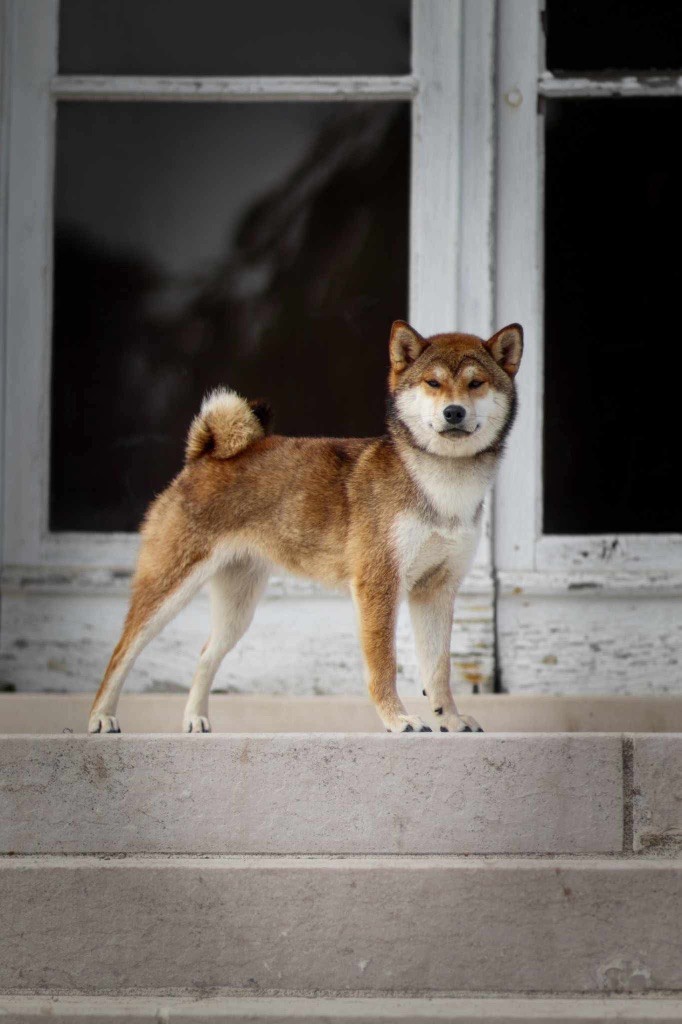 Publication : Domaine Des Sept Loups Auteur : Coralie Peronin