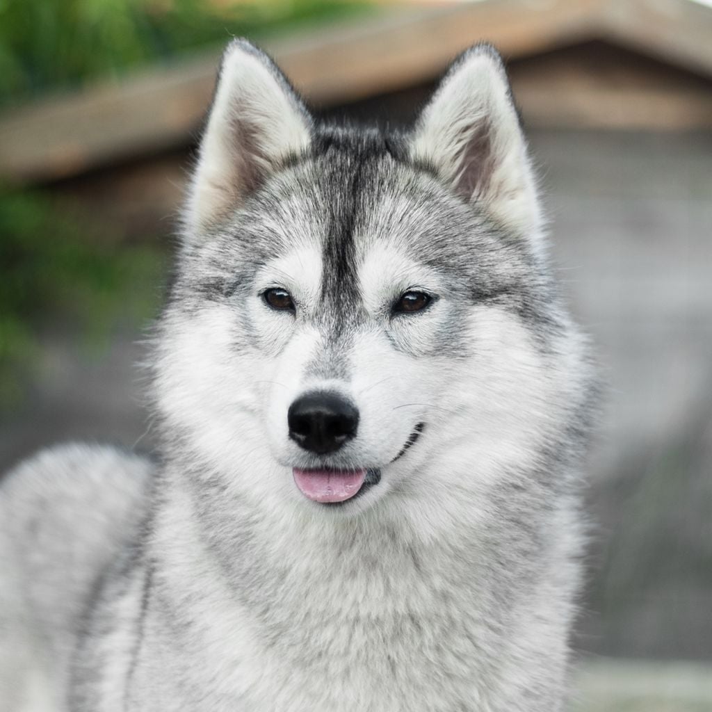 Publication : Keeper Show 