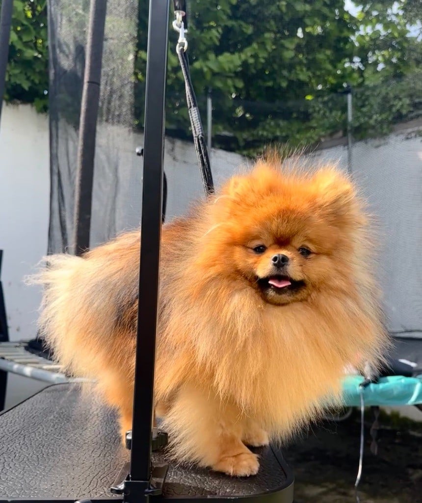 Publication : Red Millions 