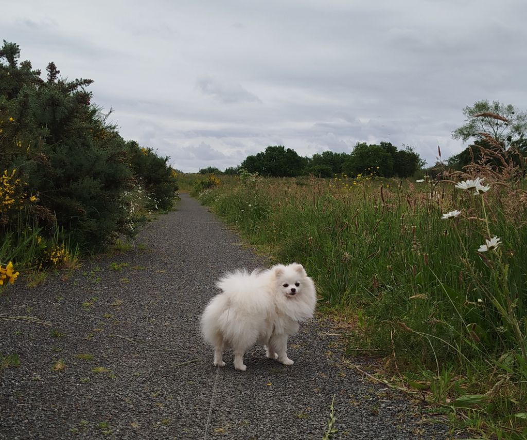 Publication : Du Jardin Des Dieux 