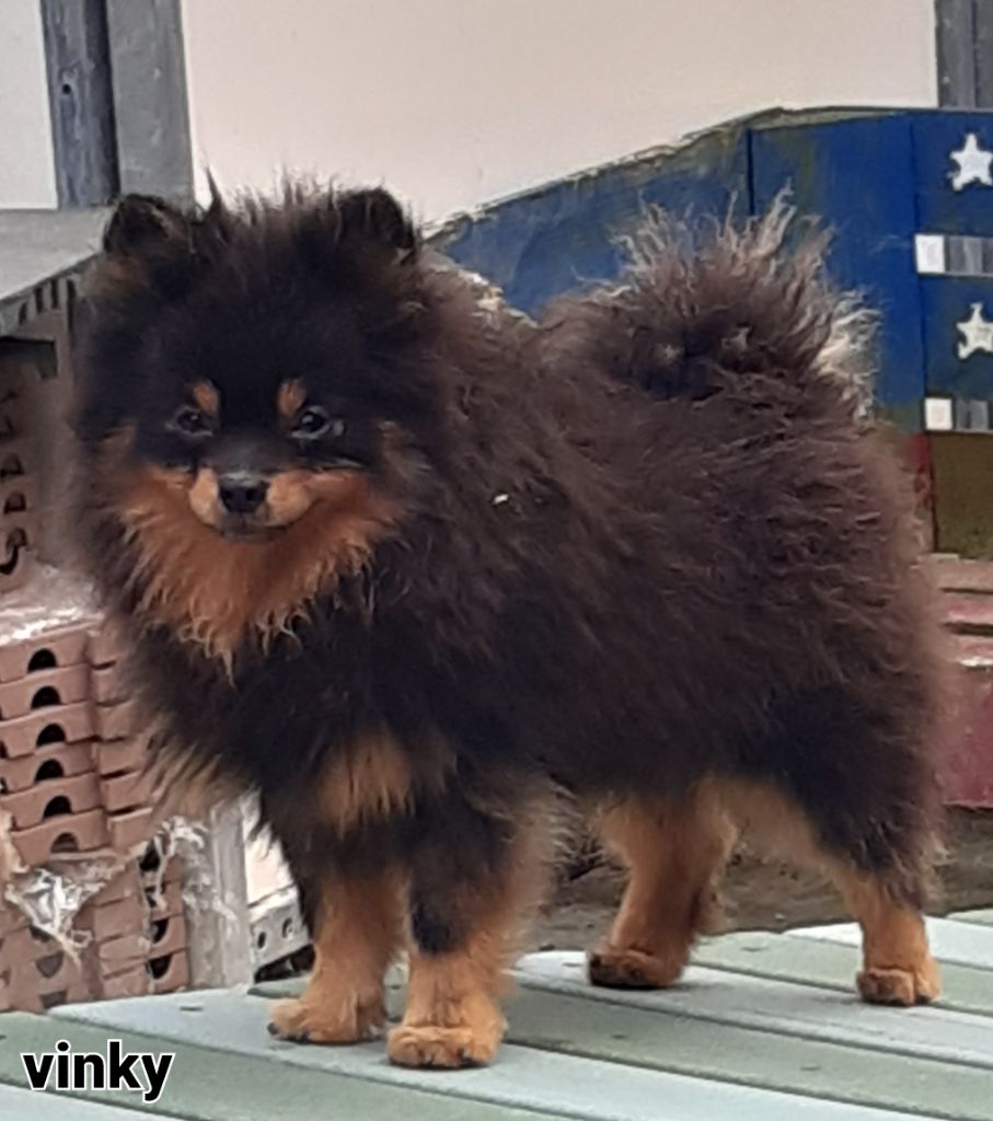 Publication : Da Fonte De Charmois Auteur : Odc