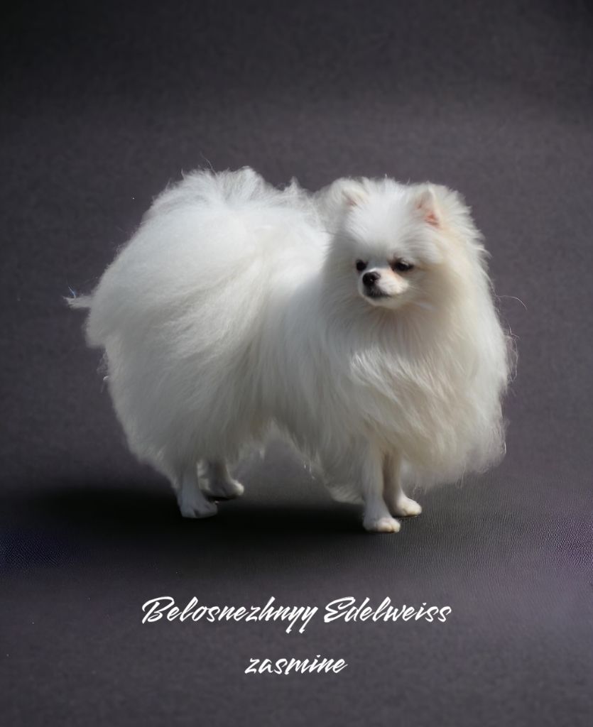 Publication : Blue Dance Auteur : Caroline fortemps