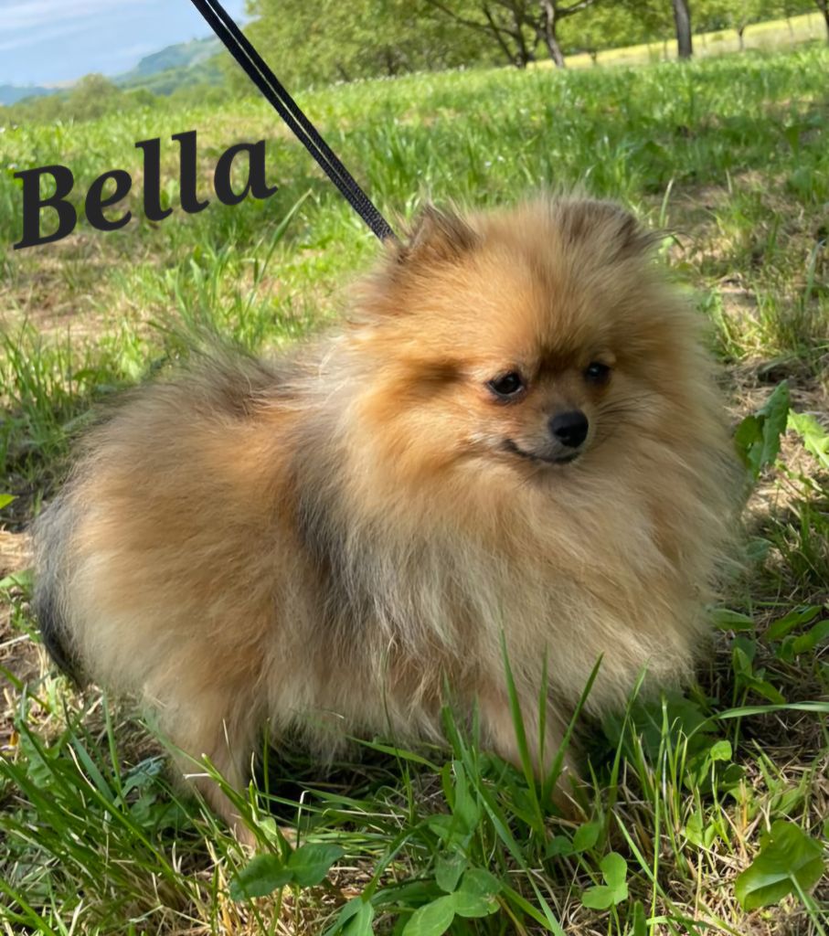 Publication : Du Domaine De Charroi 