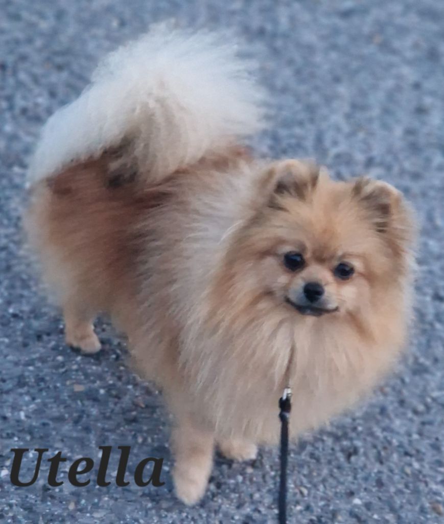 Publication : Du Domaine De Charroi 