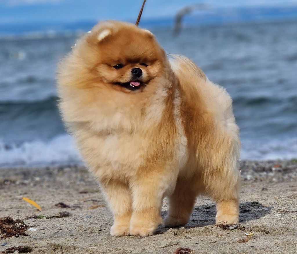 Publication : Du Domaine De Charroi 