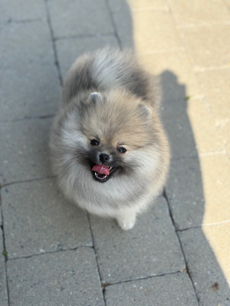 Publication : Repaire Des Oursons Gourmands 