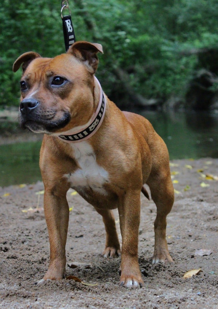 Publication : Select Of Dream