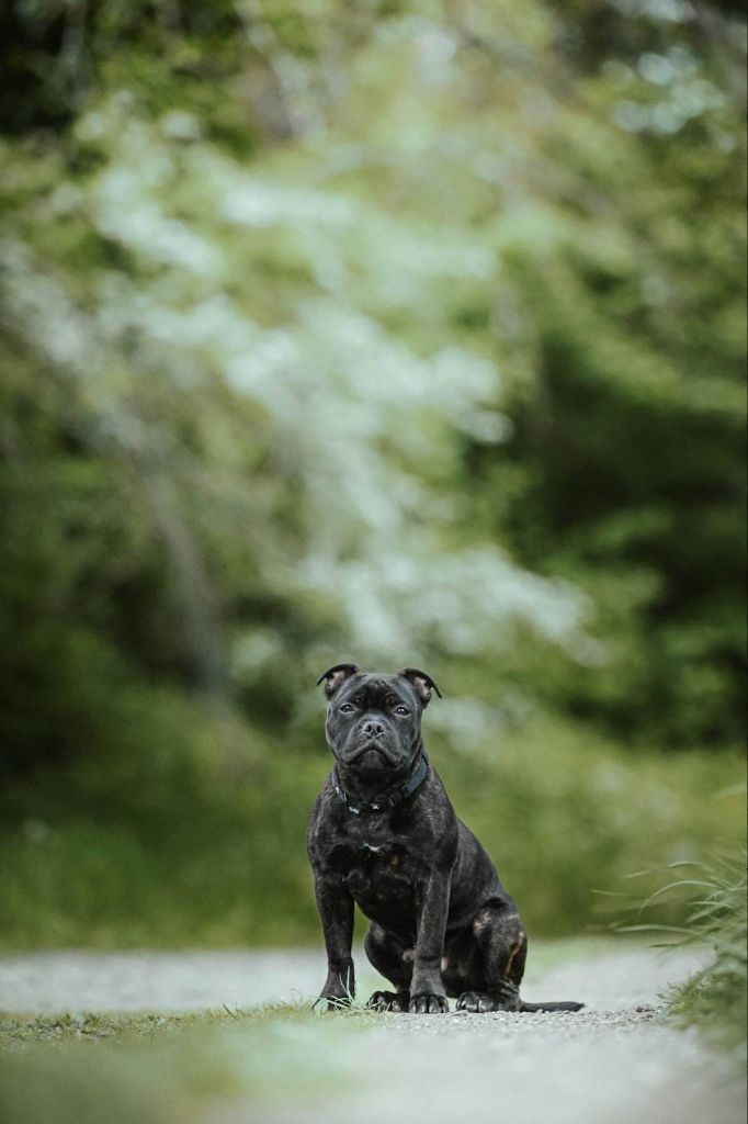 Publication : Of Heart's Ghosts 