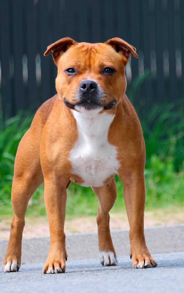 Publication : Of Heart's Ghosts 