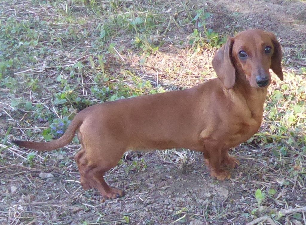 Publication : Devils Rock 