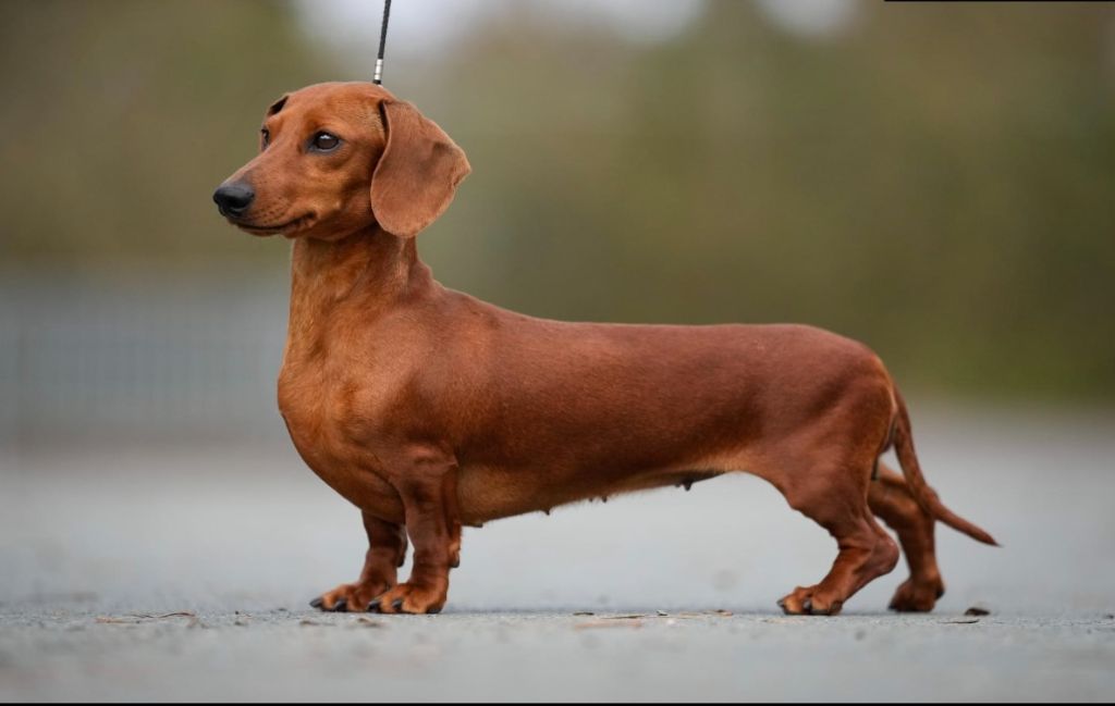 Publication : de ker ki douar 