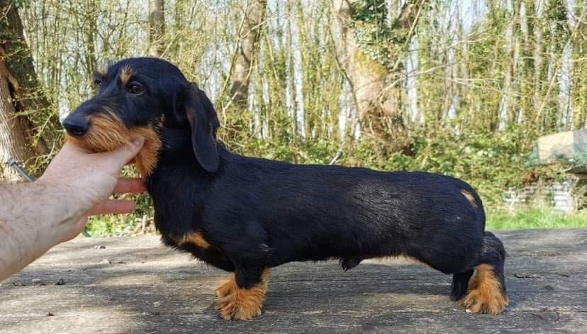 Publication : de l'air salin 