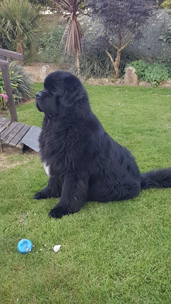 Publication : jacques colas Auteur : JACKY COLAS