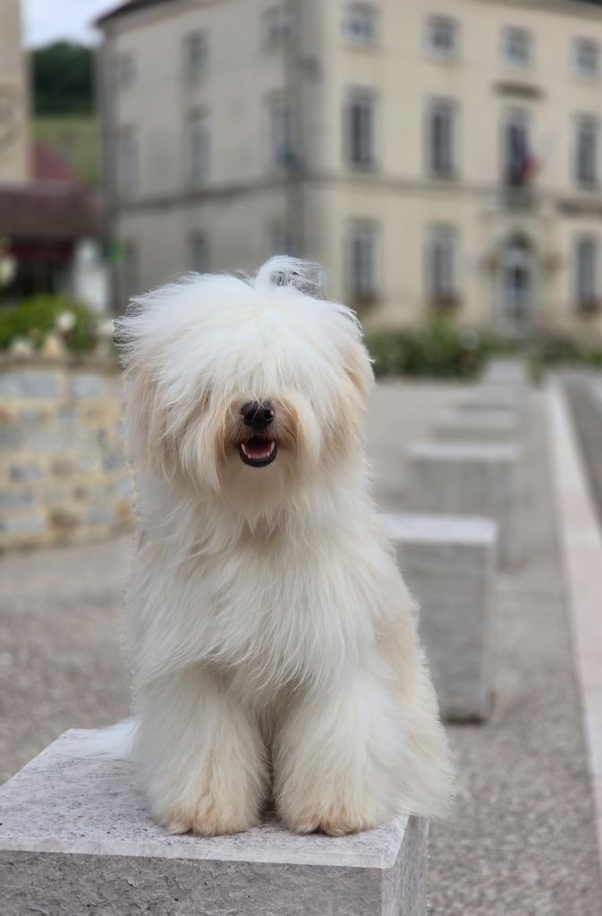 Publication : Du Domaine Des Jolies Taches 