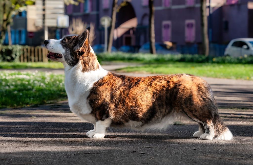 Publication : Inspired By