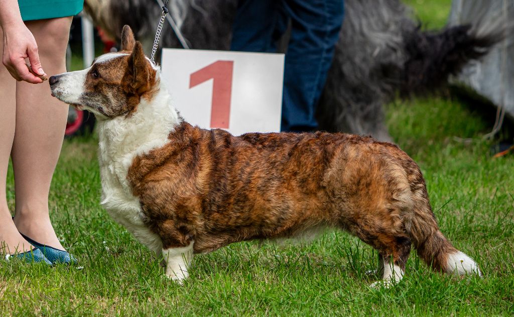 Publication : Inspired By 