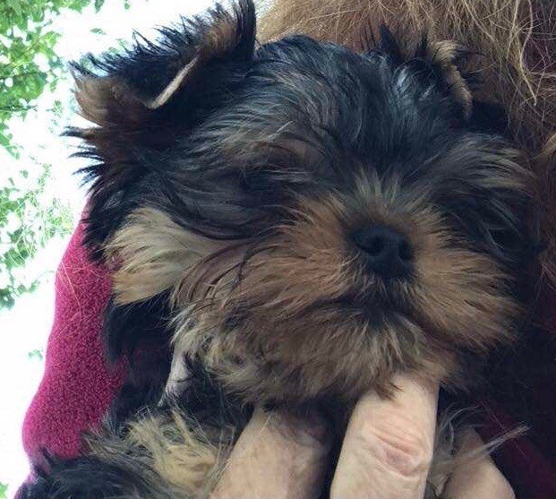 Publication : Rain’s Paris Auteur : Moi