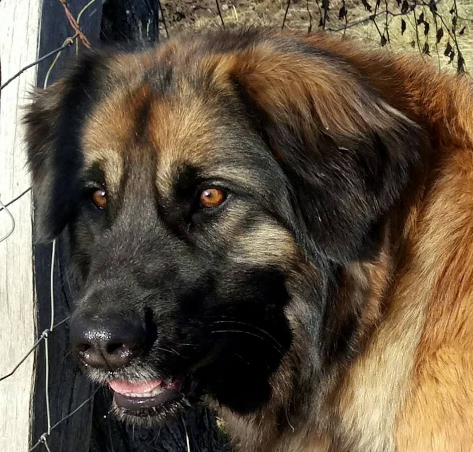 Publication : (Sans Affixe) 