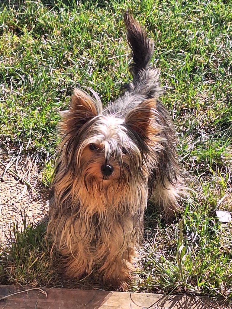 Publication : Du puits des sortileges 