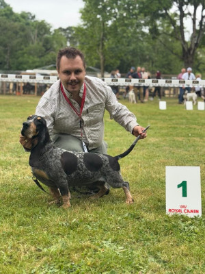 Étalon Basset bleu de Gascogne - Savoie (Sans Affixe)