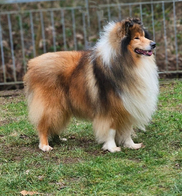 This is my way angel silvestre