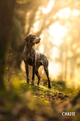 Triton du Bois Feuraz