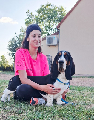 Étalon Basset Hound - Vanda Du Cercle De Léma