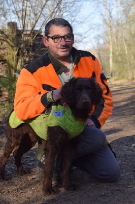 Étalon Chien d'Oysel allemand - Voice Du Val Des Houchis