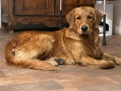 image de Une épice poivrée de