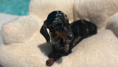 image de Unreal loveli