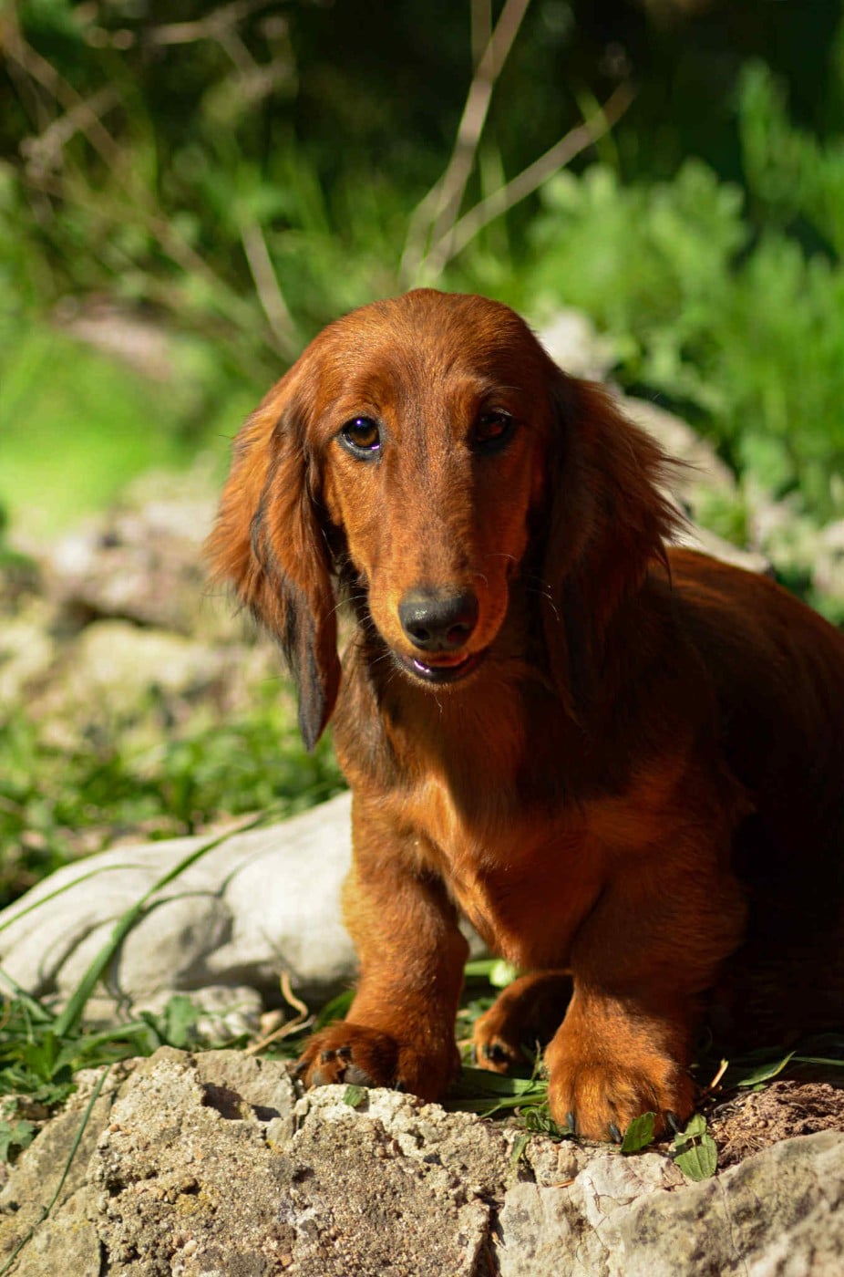 Publication : Of Moonlight Blue 