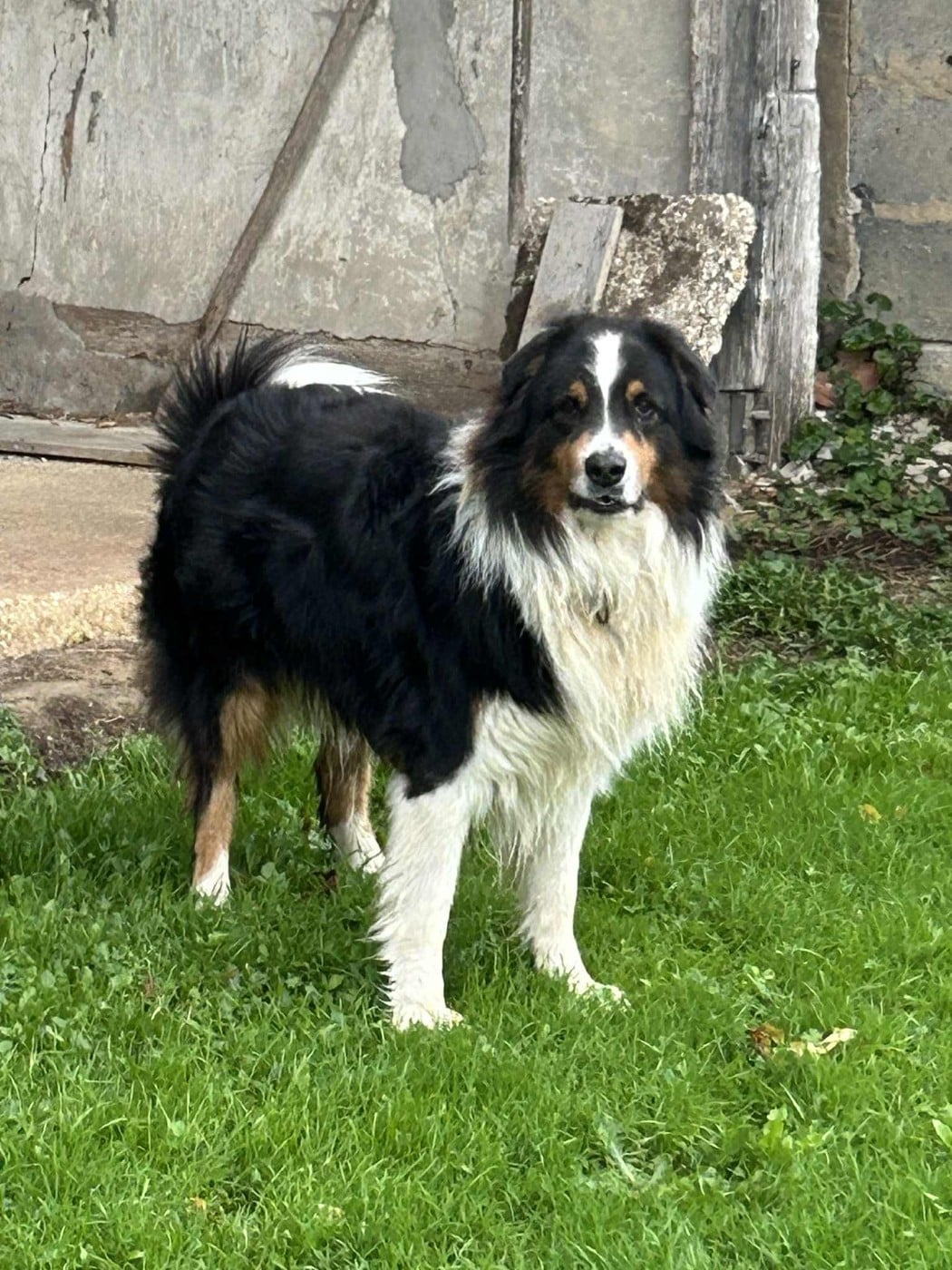 Publication : De L'Arche De Taia 