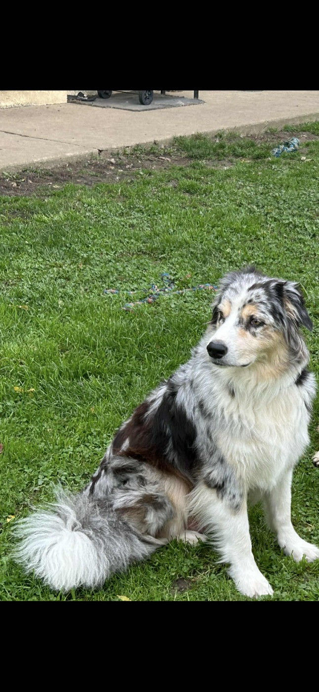 Publication : De L'Arche De Taia 