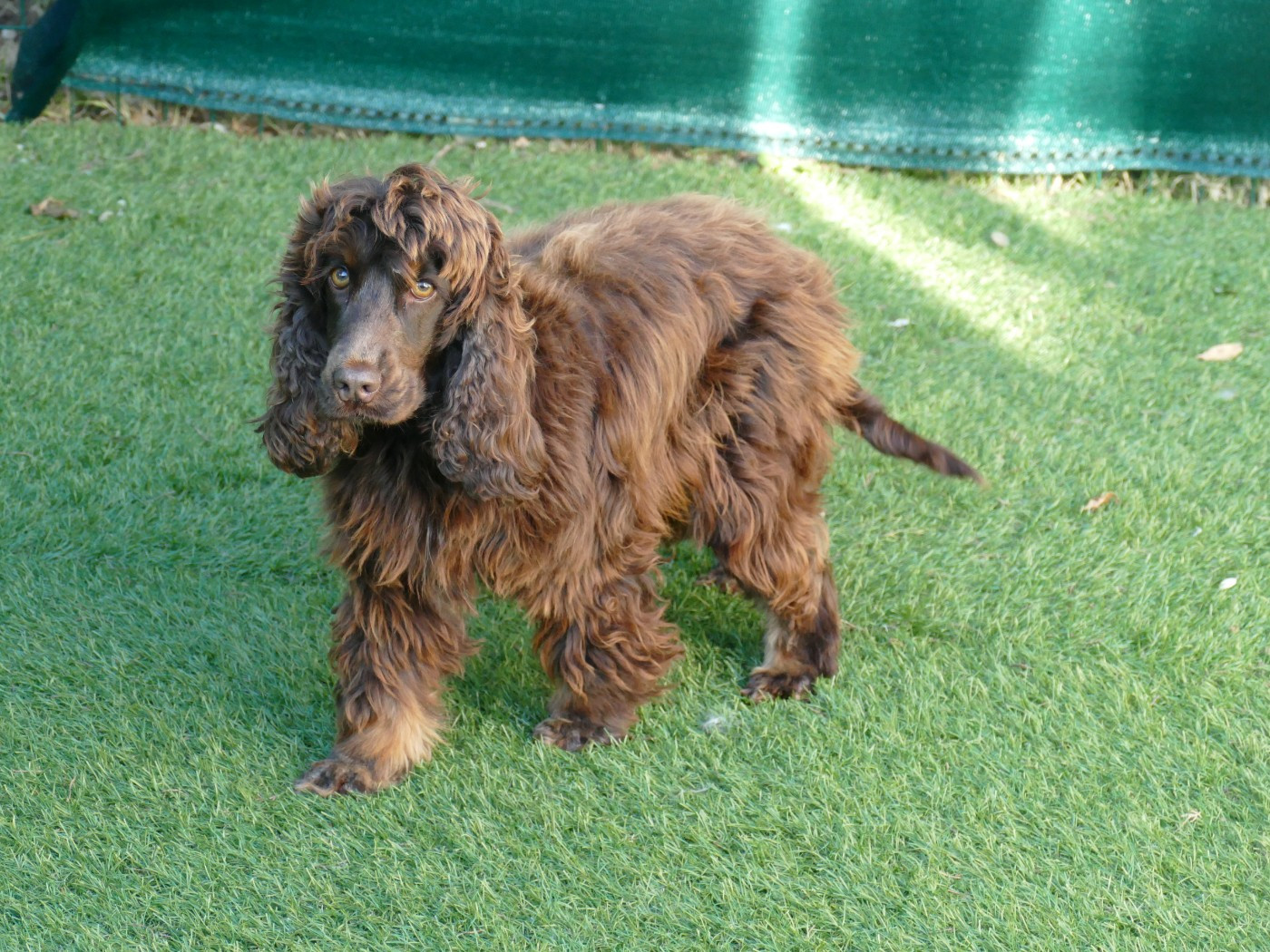 Publication : Du Temps Des Amazones Auteur : CLOE RIBOT