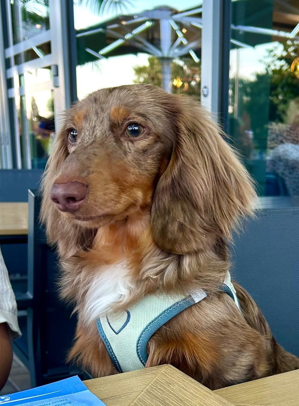 Publication : Dreams Maker's Auteur : Dreams maker's