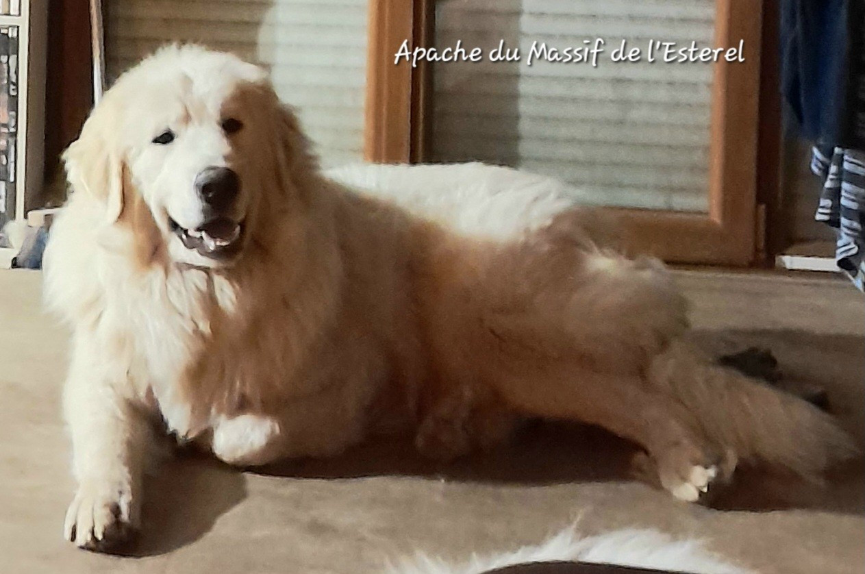 Publication : De L'Ange Des Vosges Du Nord Auteur : Jul