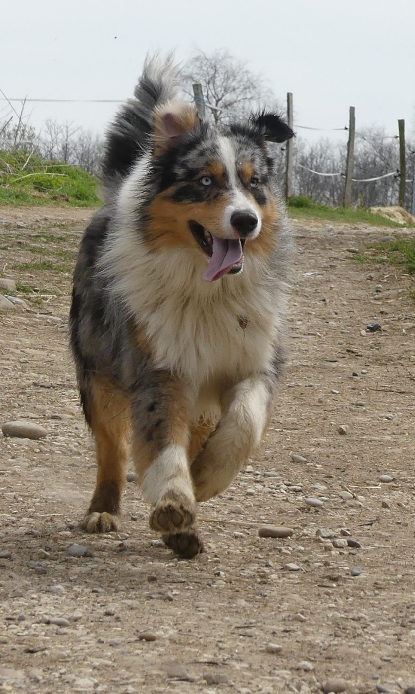 Publication : de l'éclair du diamant 
