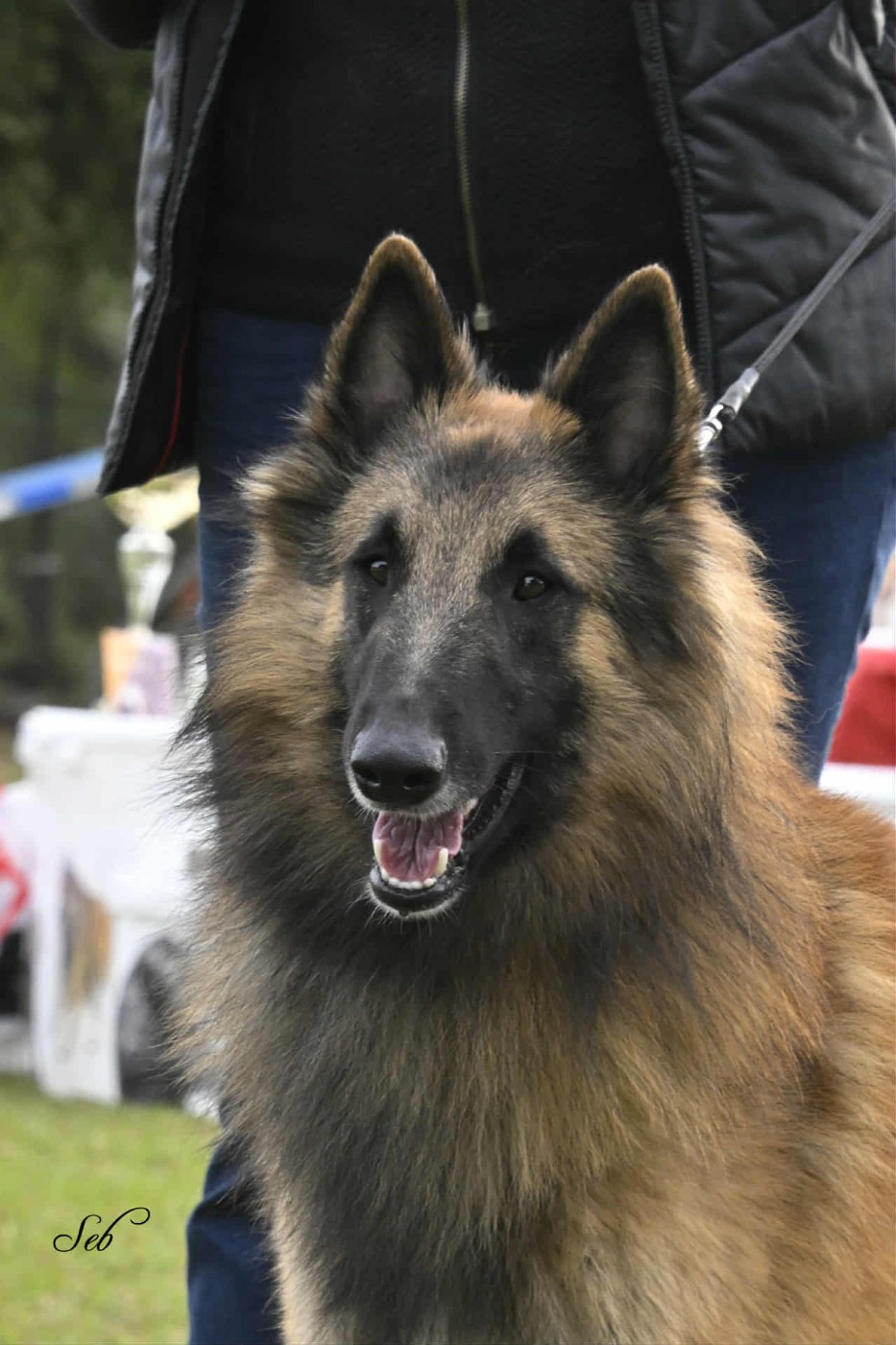 Publication : de l'Orée du val d'enfer Auteur : Clavel Aurore